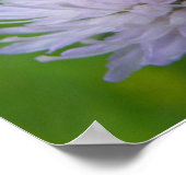 Lila Blume Poster (Ecke)