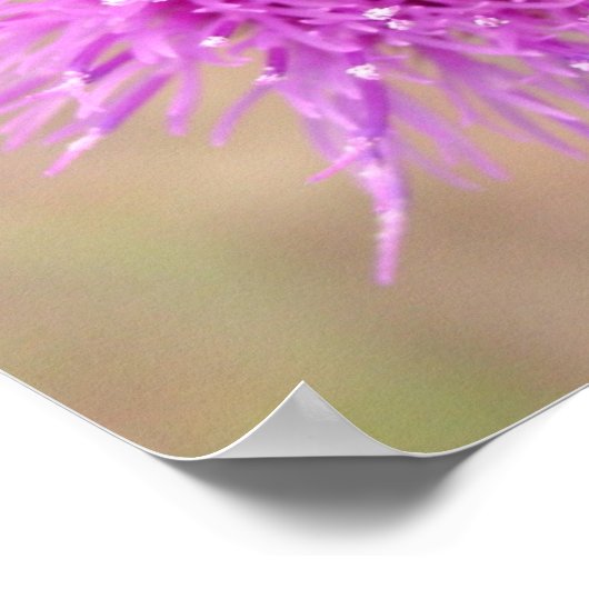 Lila Blume-Poster Poster (Ecke)