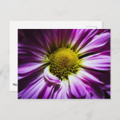 Lila Blume Postkarte (Vorne/Hinten)