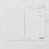 Lila Blume Postkarte (Rückseite)