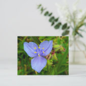 Lila Blume Postkarte (Stehend Vorderseite)