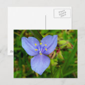 Lila Blume Postkarte (Vorne/Hinten)