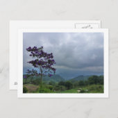 Lila Blume Postkarte (Vorne/Hinten)