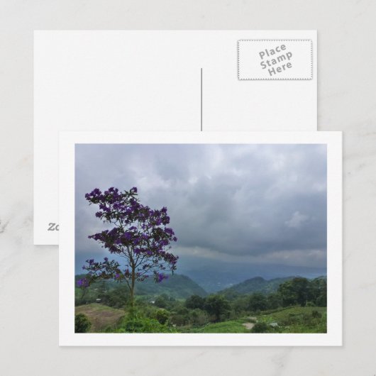 Lila Blume Postkarte (Vorne/Hinten)