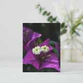 Lila Blume Postkarte (Stehend Vorderseite)