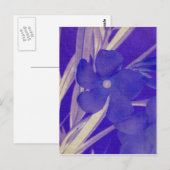 Lila Blume Postkarte (Vorne/Hinten)