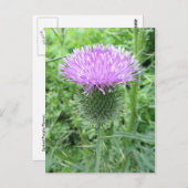 Lila Blume Postkarte (Vorne/Hinten)