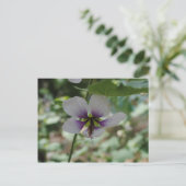 Lila Blume Postkarte (Stehend Vorderseite)