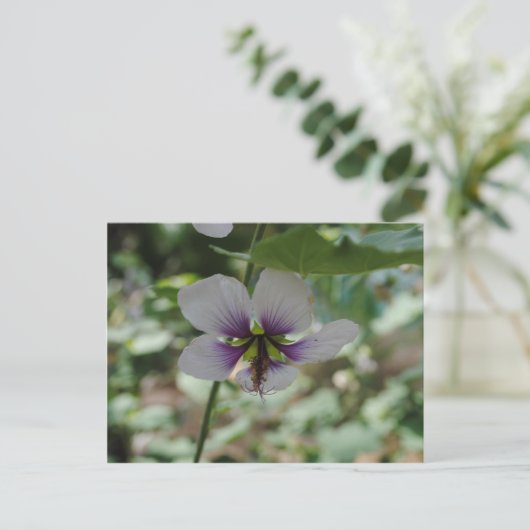 Lila Blume Postkarte (Stehend Vorderseite)