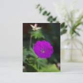 Lila Blume Postkarte (Stehend Vorderseite)