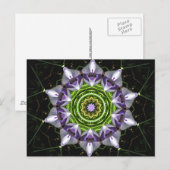 Lila Blume Postkarte (Vorne/Hinten)