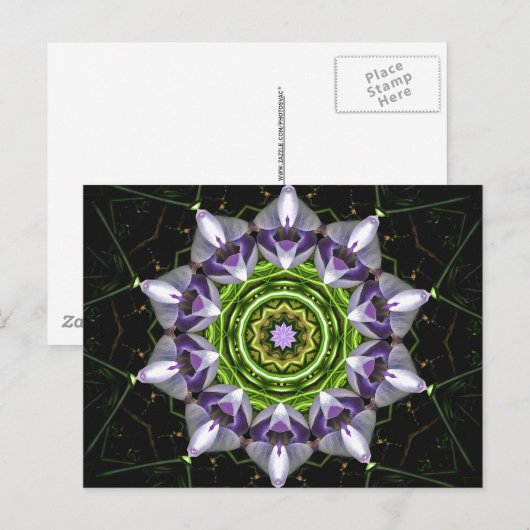 Lila Blume Postkarte (Vorne/Hinten)