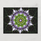 Lila Blume Postkarte (Vorderseite)