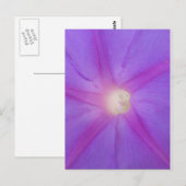 Lila Blume Postkarte (Vorne/Hinten)