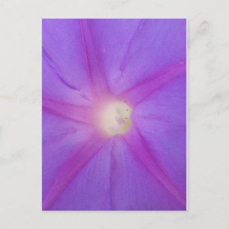 Lila Blume Postkarte