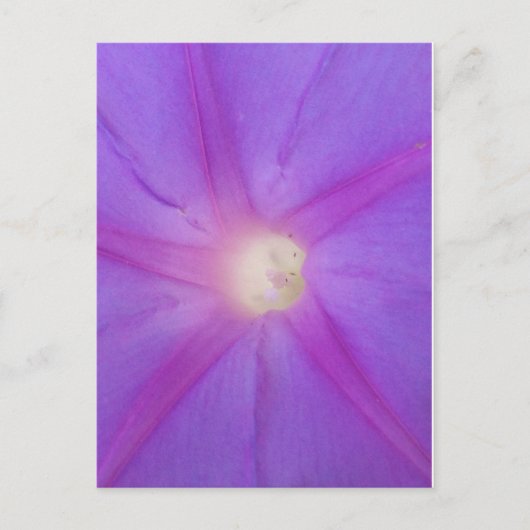 Lila Blume Postkarte (Vorderseite)
