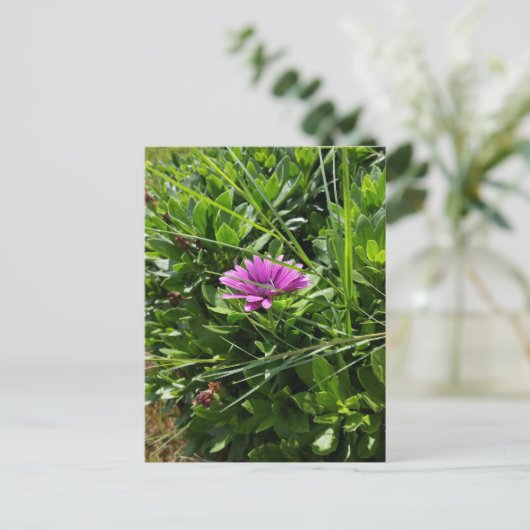 Lila Blume Postkarte (Stehend Vorderseite)