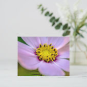 Lila Blume Postkarte (Stehend Vorderseite)