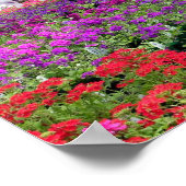 Lila Blume Profusion Print Poster (Ecke)