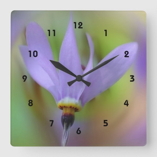 Lila Blume Quadratische Wanduhr (Vorderseite)