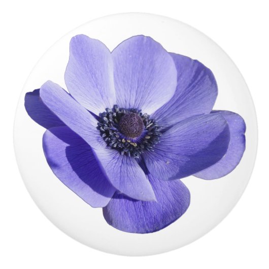 Lila Blume Schubladenkabinett Kapselhülle Keramikknauf (Vorderseite)