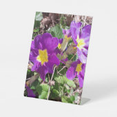 Lila Blume Sockelschild (Vorderseite)