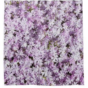 Lila Blume, sommerliche Frische im Hintergrund. Duschvorhang