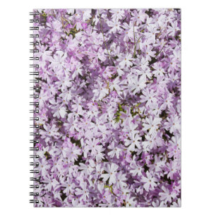 Lila Blume, sommerliche Frische im Hintergrund. Notizblock