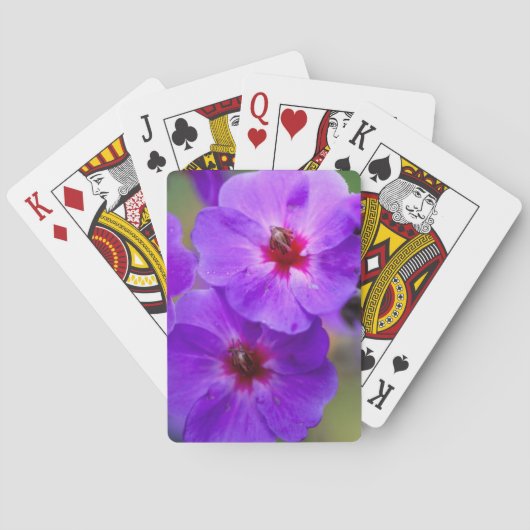 Lila Blume Spielkarten (Rückseite)