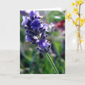 Lila Blume Spike Karte (Gelbe Blume)