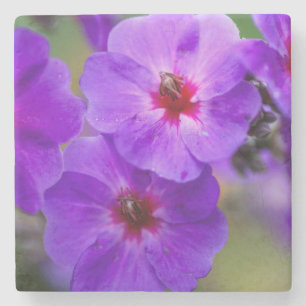 Lila Blume Steinuntersetzer