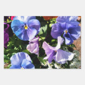 Lila Blume Streifen und fest Geschenkpapier Set (Vorderseite)