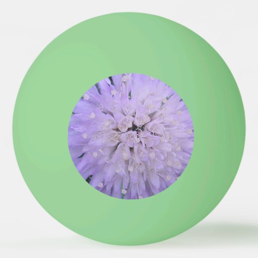Lila Blume Tischtennisball (Vorderseite)