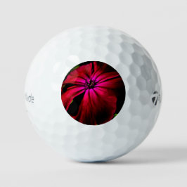 Lila Blume tmtp5 gbcna Golfball