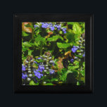 Lila Blume und Hummeln Geschenkbox<br><div class="desc">Lila Bee Balm Blume Blossom und gelb-schwarz Hummeln Foto von Sandy Closs am Arrowhad See lila genommen,  "Bienenbalsam",  Blume,  Blume,  Blumen,  Frühling,  Kirsche,  Kirschen,  Garten,  Hochzeit,  Hochzeiten, </div>