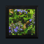 Lila Blume und Hummeln Geschenkbox<br><div class="desc">Lila Bee Balm Blume Blossom und gelb-schwarz Hummeln Foto von Sandy Closs am Arrowhad See lila genommen,  "Bienenbalsam",  Blume,  Blume,  Blumen,  Frühling,  Kirsche,  Kirschen,  Garten,  Hochzeit,  Hochzeiten, </div>
