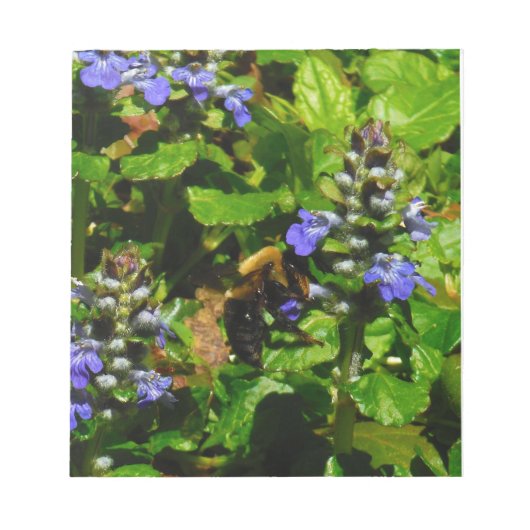 Lila Blume und Hummeln Notizblock (Vorderseite)