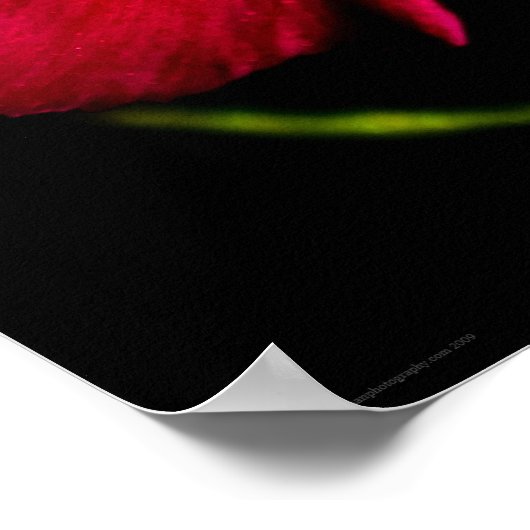 Lila Blume wapcn Poster (Ecke)