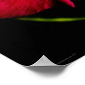 Lila Blume wapcn Poster (Ecke)