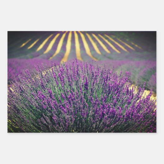 Lila Blume Wrapping Sheets Geschenkpapier Set (Vorderseite 3)