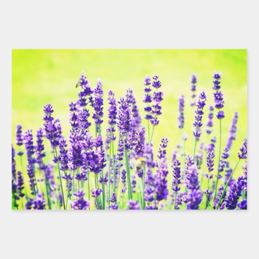 Lila Blume Wrapping Sheets Geschenkpapier Set (Vorderseite 2)