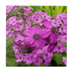 Lila Blumen aus San Francisco Fliese