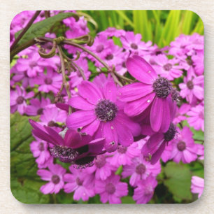 Lila Blumen aus San Francisco Untersetzer