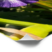 Lila Blumen Florale Iris Irissen Muttertag Poster (Ecke)