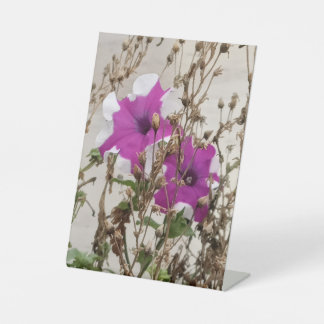 Lila Blumen Foto Sockelschild
