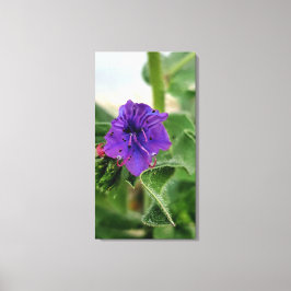 Lila Blumen Frühjahrsflora Sammlung Leinwanddruck