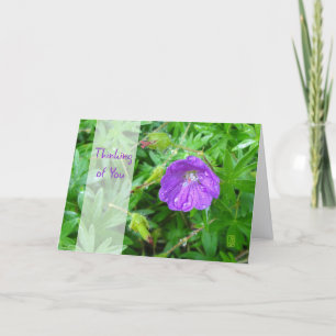 Lila-Blumen-Gedenkkarte Karte