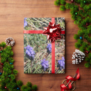 Lila Blumen in den Feldern Umschlagpapier Geschenkpapier