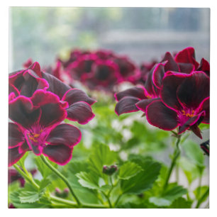 Lila Blumen-Keramikfliese Fliese
