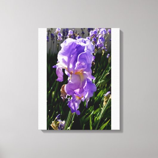 Lila Blumen Leinwanddruck (Vorderseite)